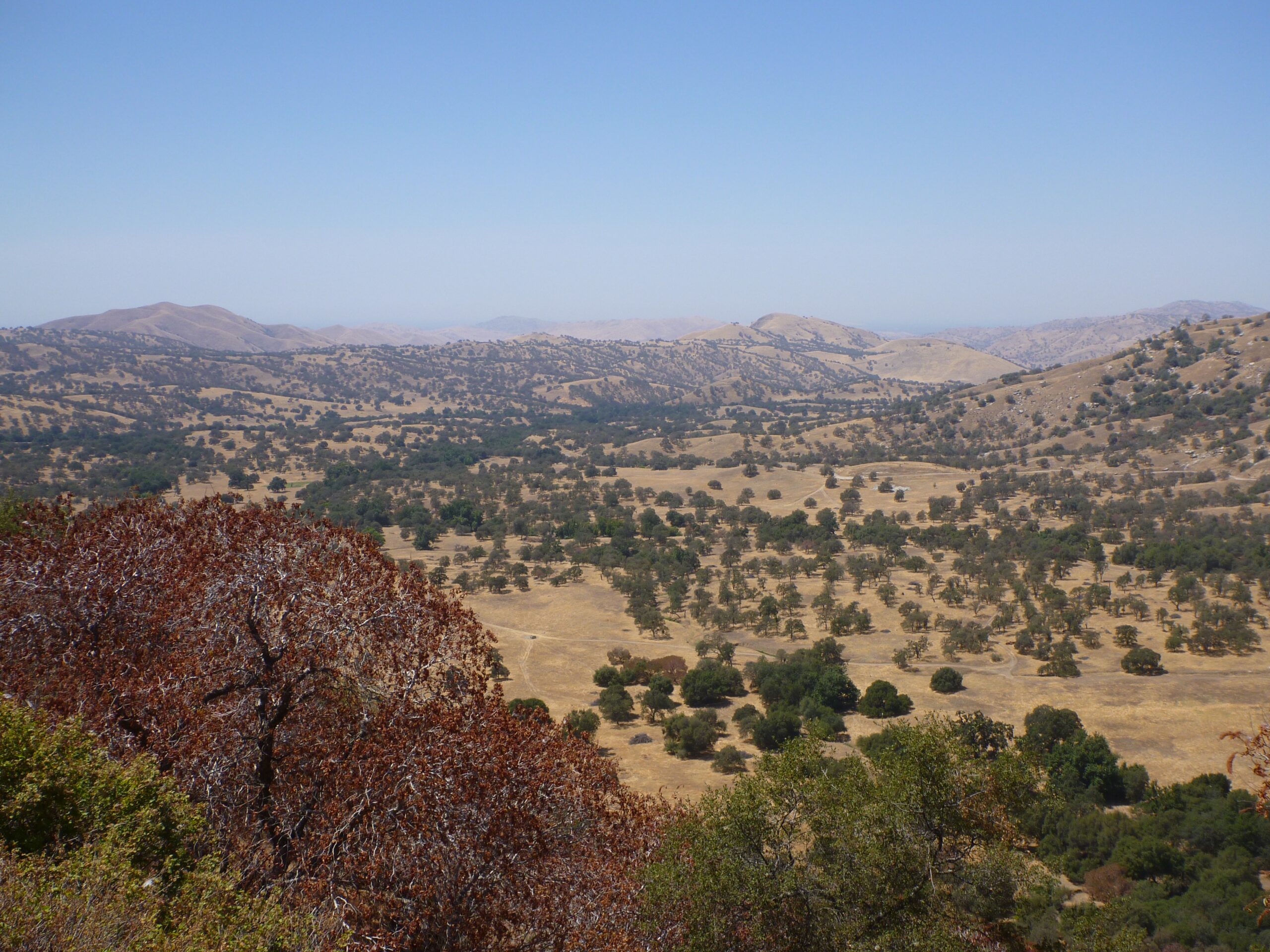 Porterville, California