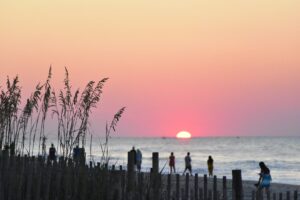 people at the beach during sunset