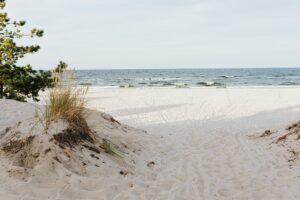 white sand near body of water