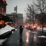 Top Ten Most Sustainable and Green Cities In the US 8 pexels colin lloyd 3751008