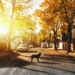 Worst US cities for Allergy Sufferers 2022 11 #10 Worst US cities for Allergy Sufferers