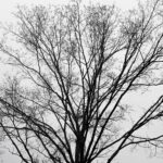 Worst US cities for Allergy Sufferers 2022 8 pexels gela 3538934