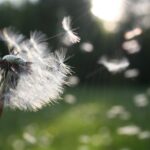 Worst US cities for Allergy Sufferers 2022 2 #1 Worst US cities for Allergy Sufferers