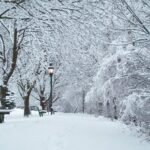 Top 10 US Cities with the Most Snowfall 10 pexels aaron burden 9559192