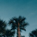 Top 10 US cities to retire in 2022 2 Boca Raton, the best city to retire