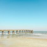 Top 10 cities to live in Florida 2022 10 pexels airam datoon 11436025