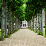 Top 10 US cities to retire in 2022 10 pexels mike 126271