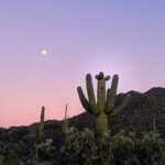 Sunniest Cities in the US 2022 6 pexels patrick boyer 3876958