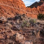 Sunniest Cities in the US 2022 7 pexels raychel sanner 4691821