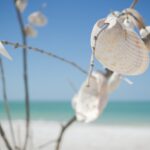 Top 10 cities to live in Florida 2022 6 pexels tina nord 810726