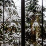 Top 10 US Cities with the Most Snowfall 9 pexels wendy wei 10538761