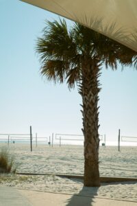 Beach Towns In South Carolina