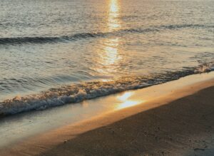 beach scenery