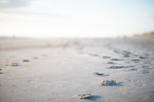 Best Beach Towns In Florida For Families 9 Sanibel Island Florida