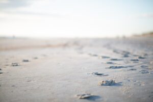 Sanibel Island Florida