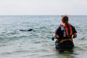 Best New England Beach Towns 6 Cape cod