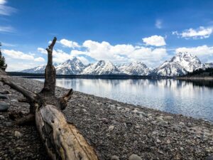 Jackson mountains