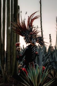 Best Towns for Mardi Gras in the United States 8 Most popular Mardi Gras cities